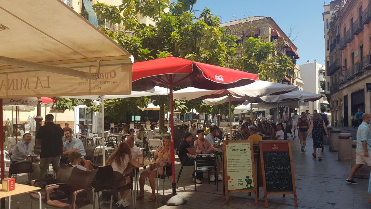 Ubicacion Top Junto Catedral A Acond Y Wifi Sevilla Eksteriør billede
